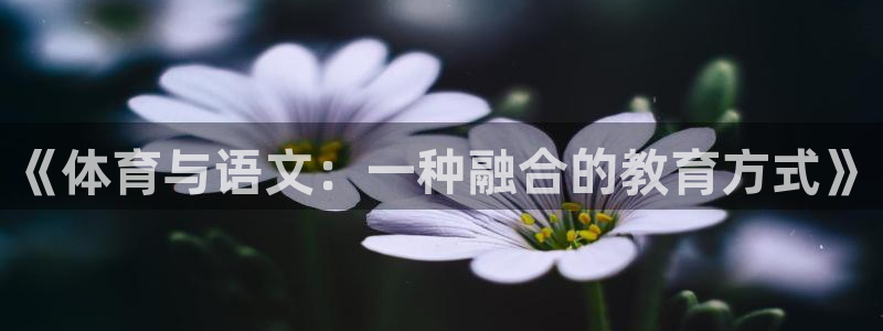 oety欧亿