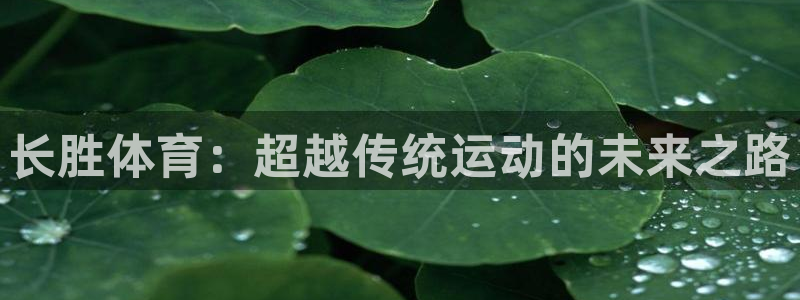 oety欧亿