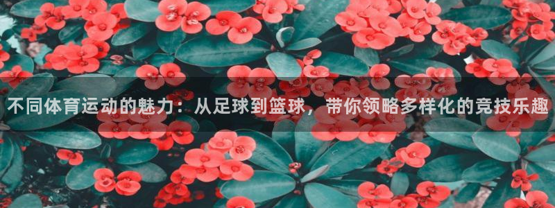 oety欧亿：不同体育运动的魅力：从足球到篮球，带你领略多样化的竞技乐趣
