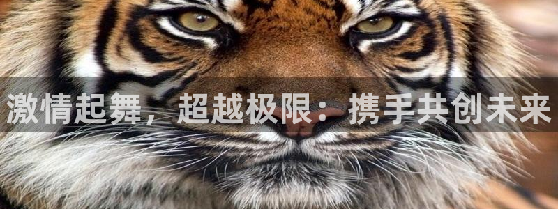 oety欧亿