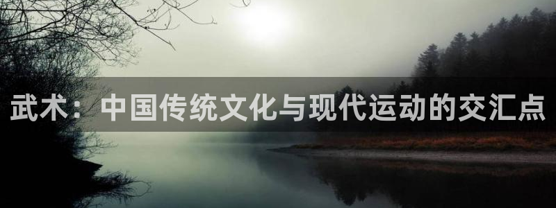 oety欧亿：武术：中国传统文化与现代运动的交汇点