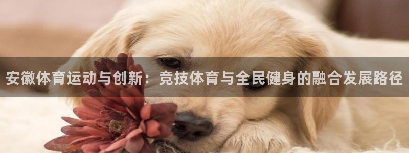 oety欧亿：安徽体育运动与创新：竞技体育与全民健身的融合发展路径