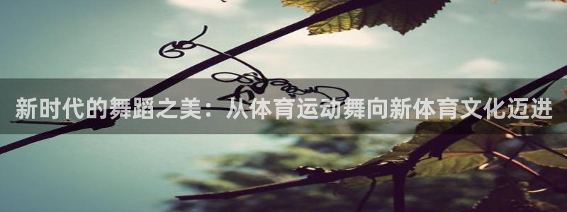oety欧亿