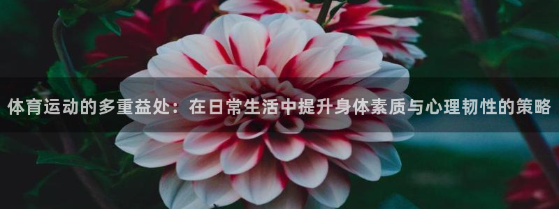 oety欧亿：体育运动的多重益处：在日常生活中提升身体素质与心理韧性的策略