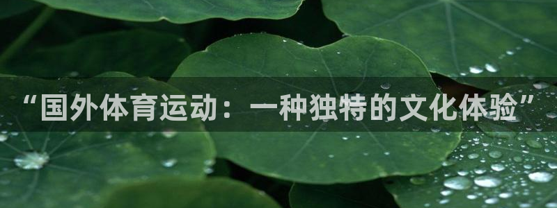 oety欧亿